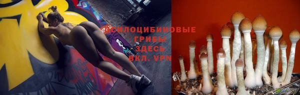 таблы Белоозёрский